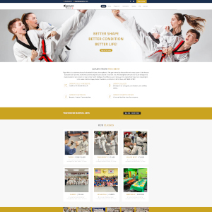 Tiger Kicks website